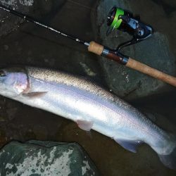 危うくボウズになるとこだった ～天竜川ルアーフライ専用区～